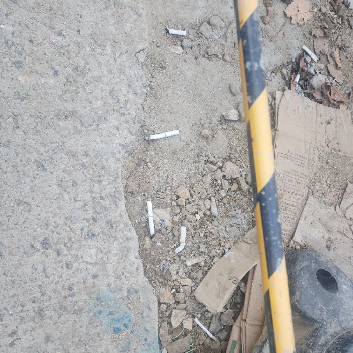  서울강남구.동네.쓰레기.플로깅