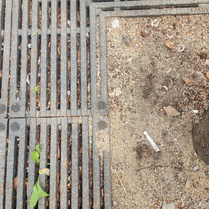  서울강남구.동네.쓰레기.플로깅