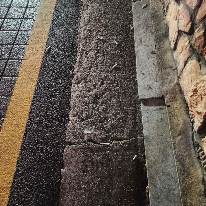  서울강남구.동네.쓰레기.플로깅