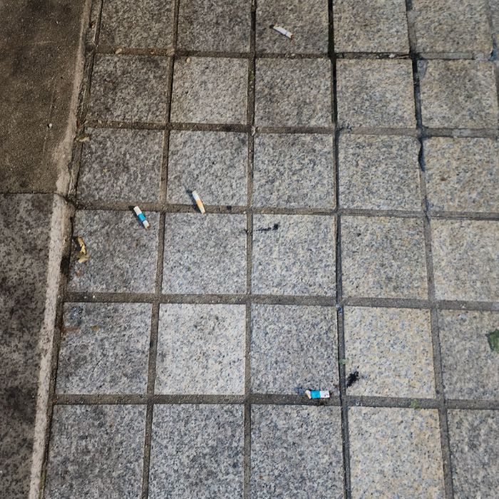  서울강남구.동네.쓰레기.플로깅