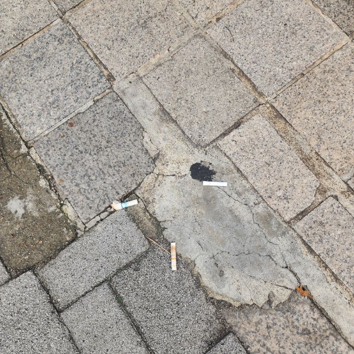  서울강남구.동네.쓰레기.플로깅