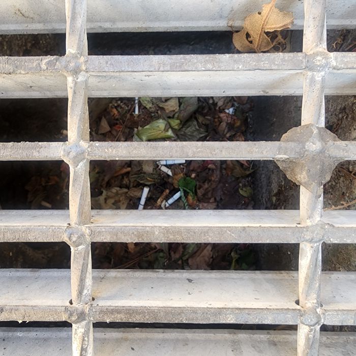  서울강남구.동네.쓰레기.플로깅