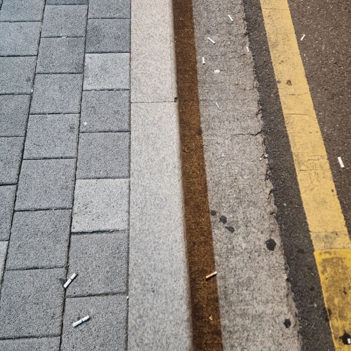 서울강남구.동네.쓰레기.플로깅