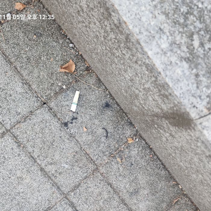  서울강남구.동네.쓰레기.플로깅