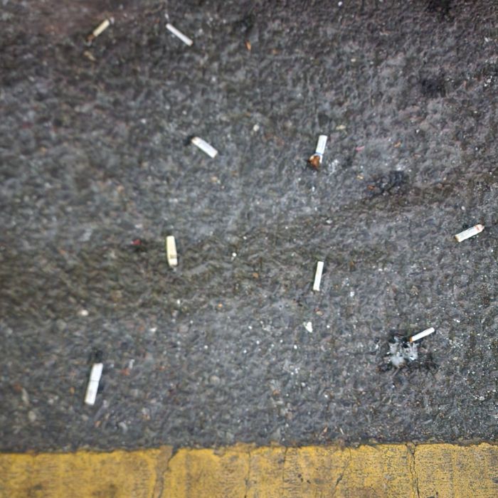  서울강남구.동네.쓰레기.플로깅