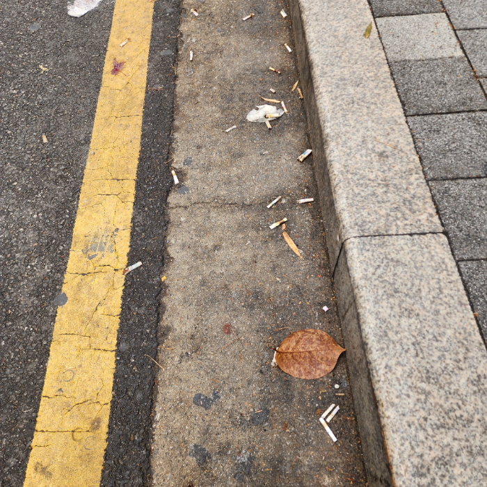  서울강남구.동네.쓰레기.플로깅