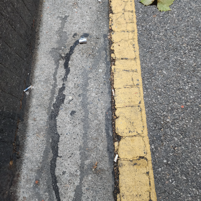  서울강남구.동네.쓰레기.플로깅