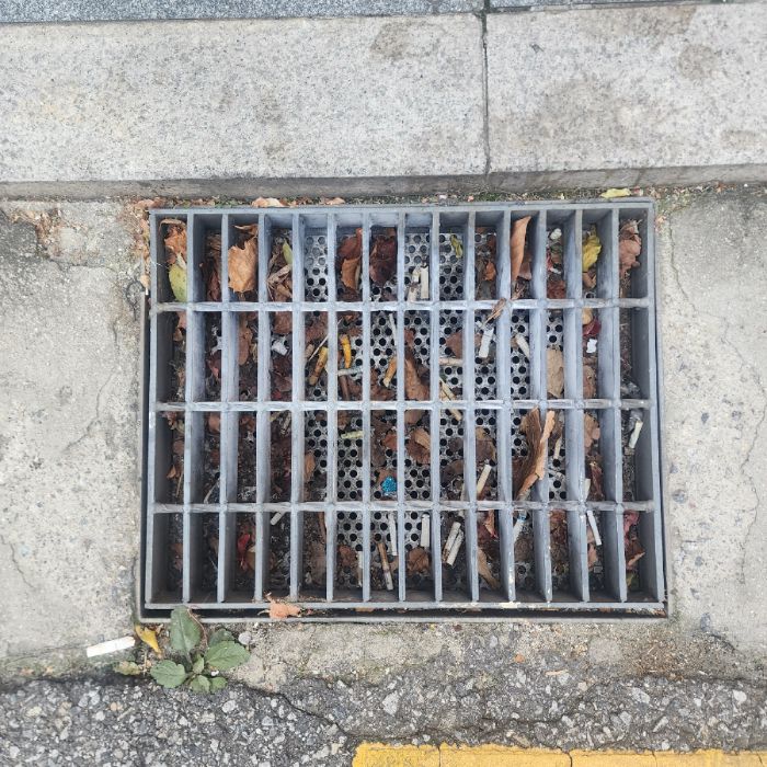  서울강남구.동네.쓰레기.플로깅