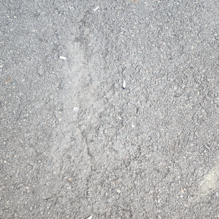  서울강남구.동네.쓰레기.플로깅