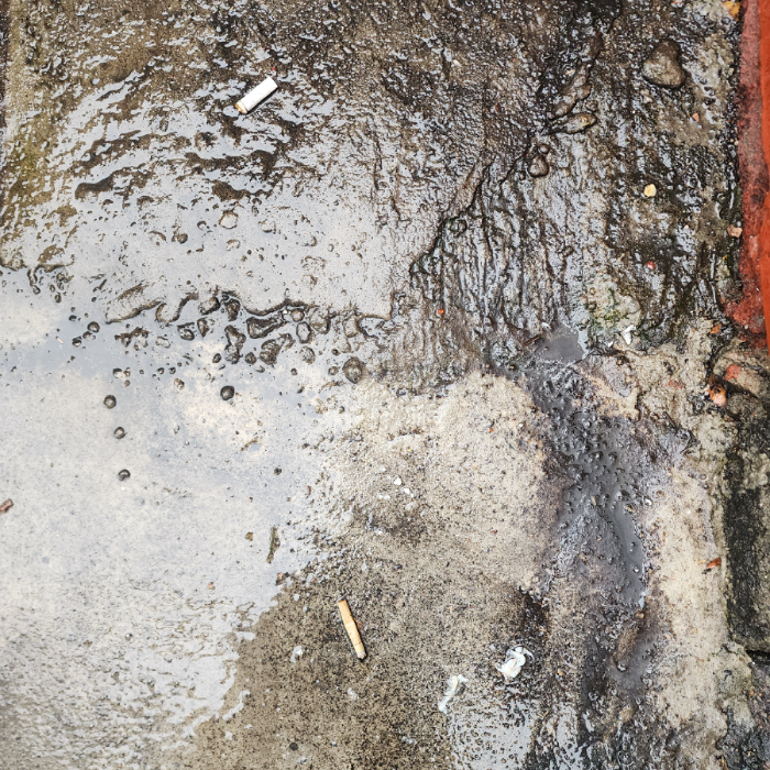  서울강남구.동네.쓰레기.플로깅