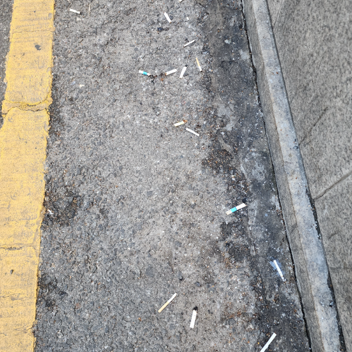  서울강남구.동네.쓰레기.플로깅