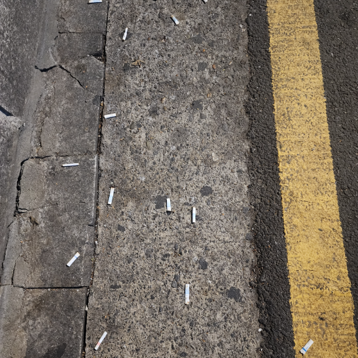  서울강남구.동네.쓰레기.플로깅