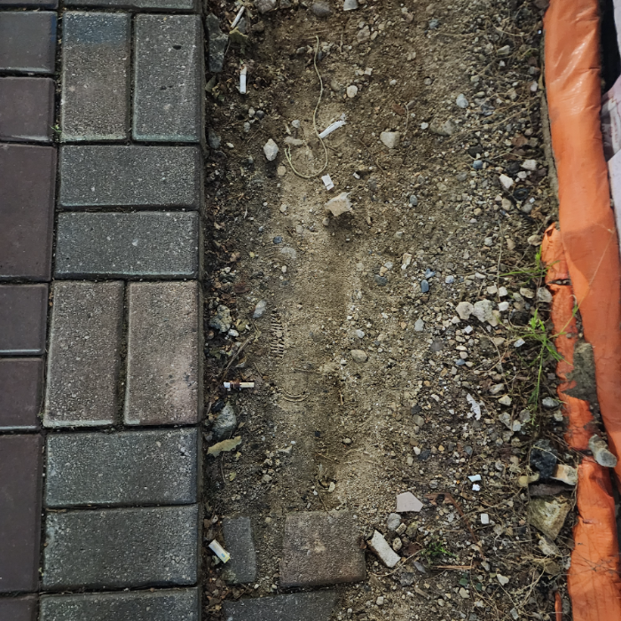  서울강남구.동네.쓰레기.플로깅