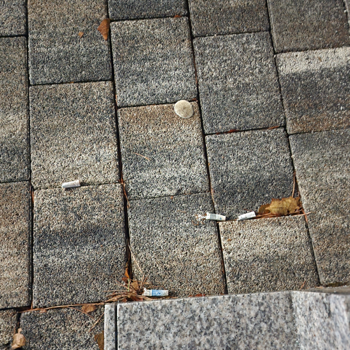  서울강남구.동네.쓰레기.플로깅