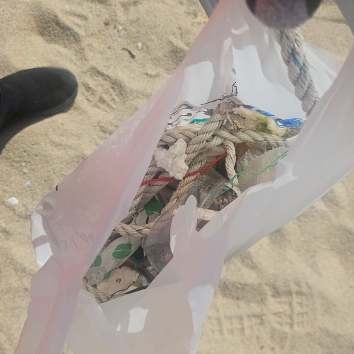  강릉시.동네.쓰레기.플로깅