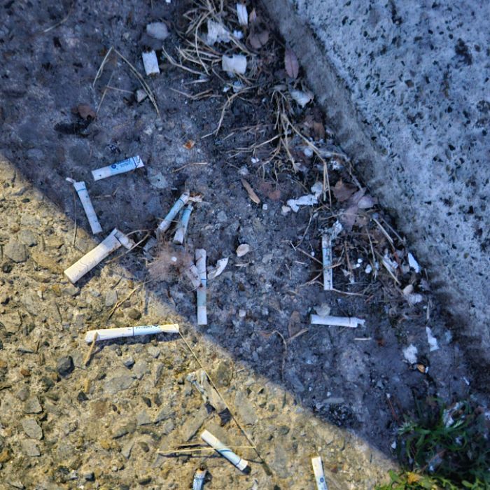  구미시.동네.쓰레기.플로깅