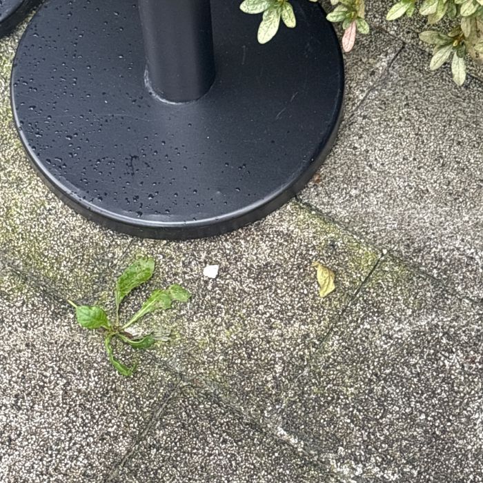 성남시.동네.쓰레기.플로깅