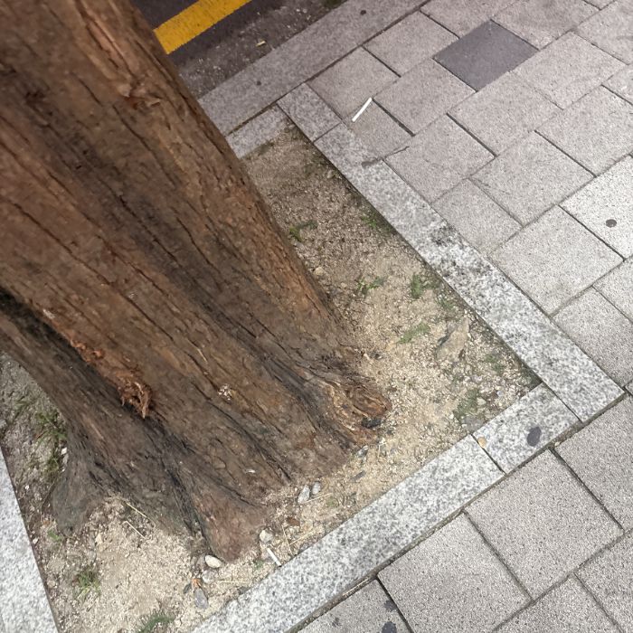 성남시.동네.쓰레기.플로깅