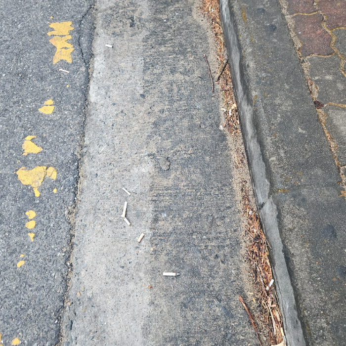  구미시.동네.쓰레기.플로깅