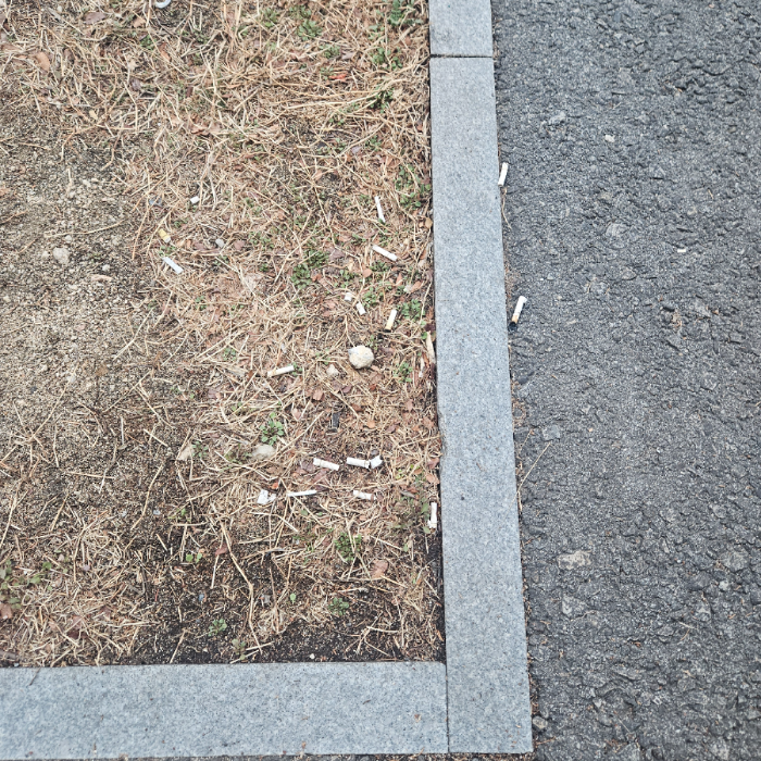  구미시.동네.쓰레기.플로깅