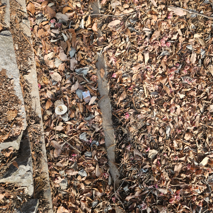  합천군.동네.쓰레기.플로깅