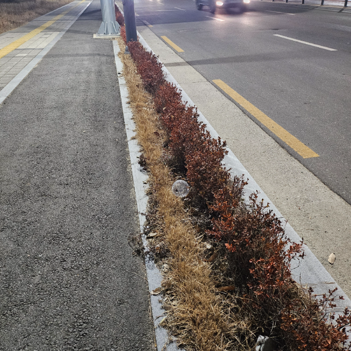  구미시.동네.쓰레기.플로깅