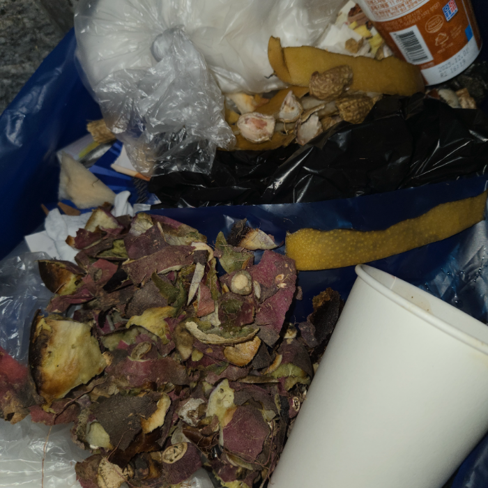  춘천시.동네.쓰레기.플로깅