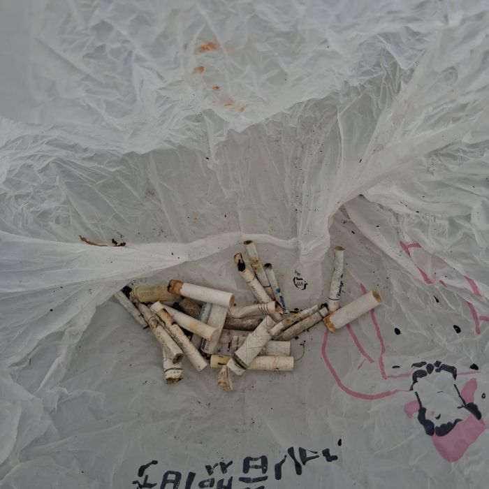  창원시.동네.쓰레기.플로깅