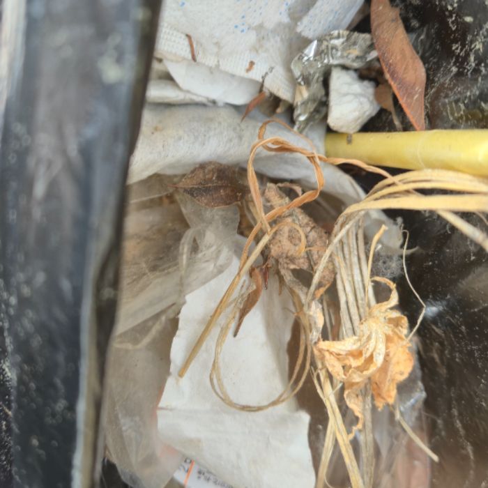  창원시.동네.쓰레기.플로깅