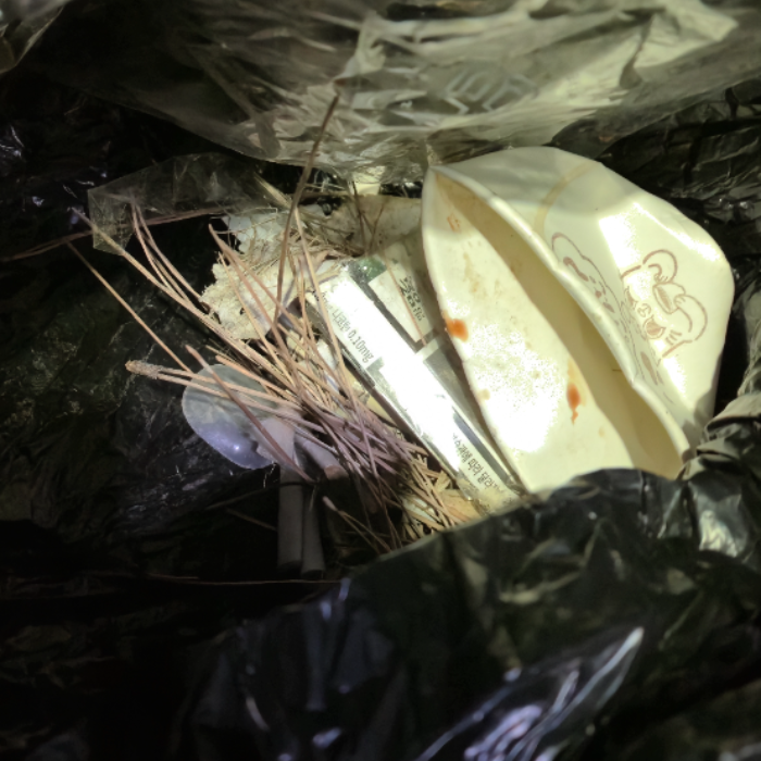  창원시.동네.쓰레기.플로깅