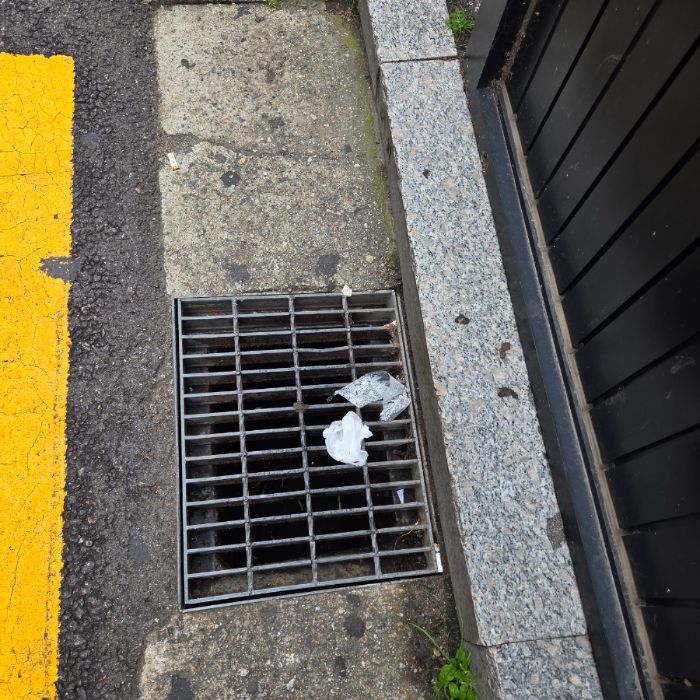  서울강남구.동네.쓰레기.플로깅
