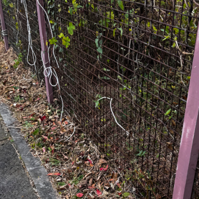  서귀포시.동네.쓰레기.플로깅