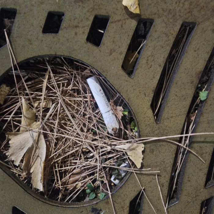  서울강남구.동네.쓰레기.플로깅