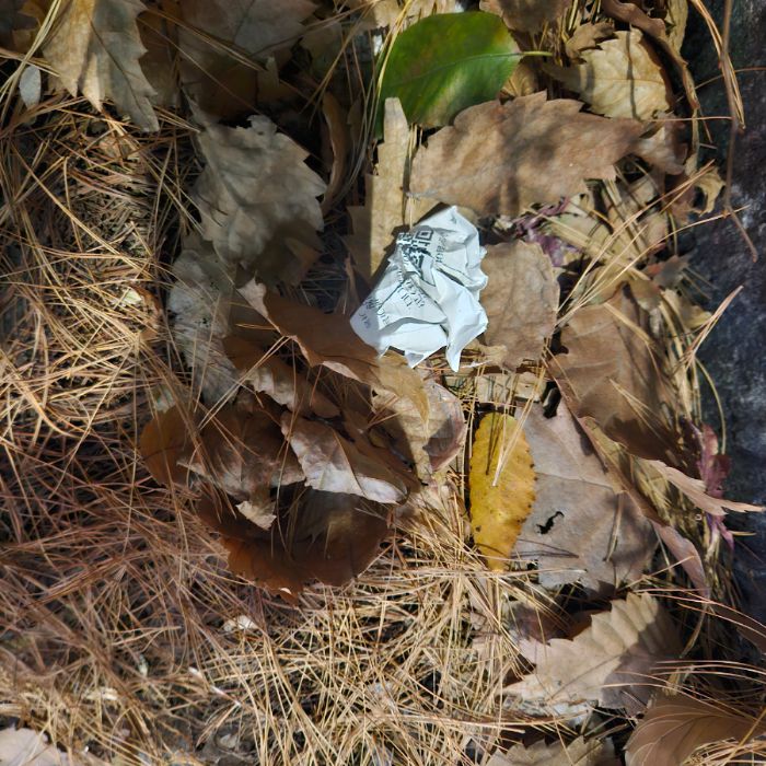  서울강남구.동네.쓰레기.플로깅