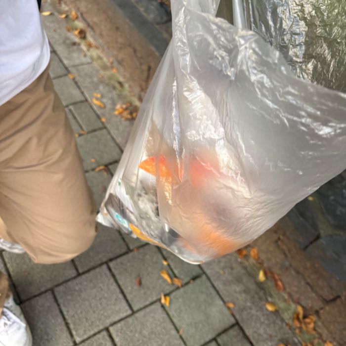  서울강남구.동네.쓰레기.플로깅