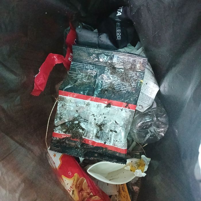  파주시.동네.쓰레기.플로깅