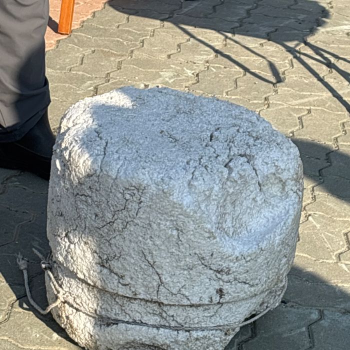  서천군.동네.쓰레기.플로깅