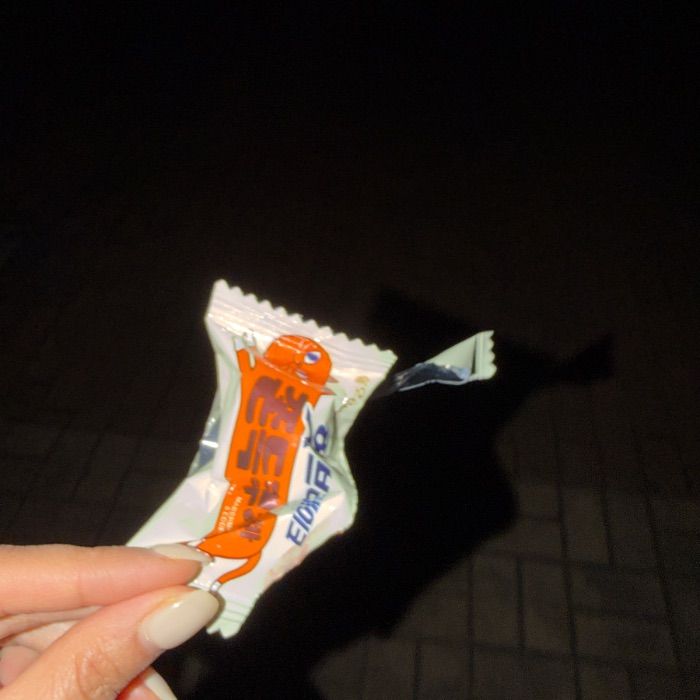  파주시.동네.쓰레기.플로깅