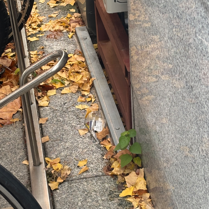  서울강남구.동네.쓰레기.플로깅