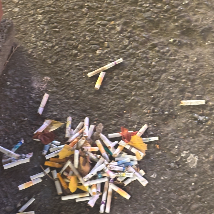  서울강남구.동네.쓰레기.플로깅