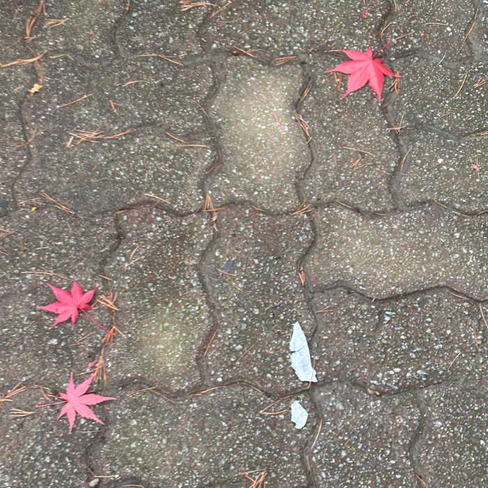  서울강남구.동네.쓰레기.플로깅