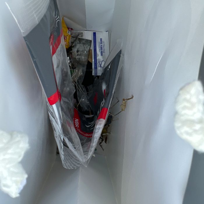  서울중구.동네.쓰레기.플로깅