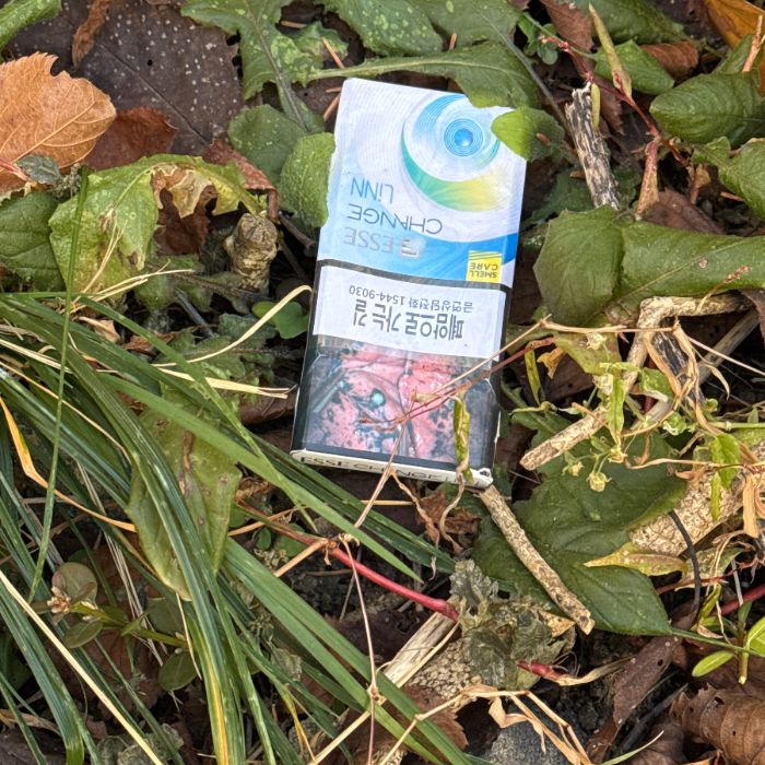  서울강남구.동네.쓰레기.플로깅