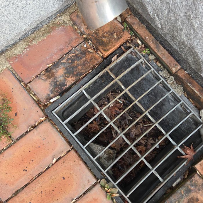  전주시.동네.쓰레기.플로깅