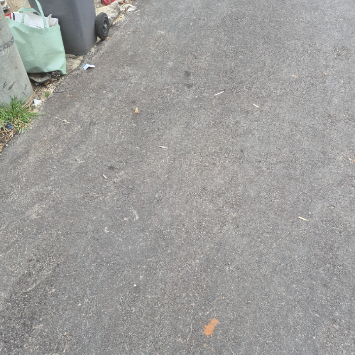  동해시.동네.쓰레기.플로깅