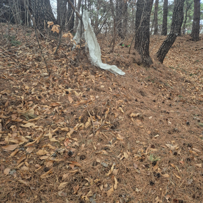  동해시.동네.쓰레기.플로깅