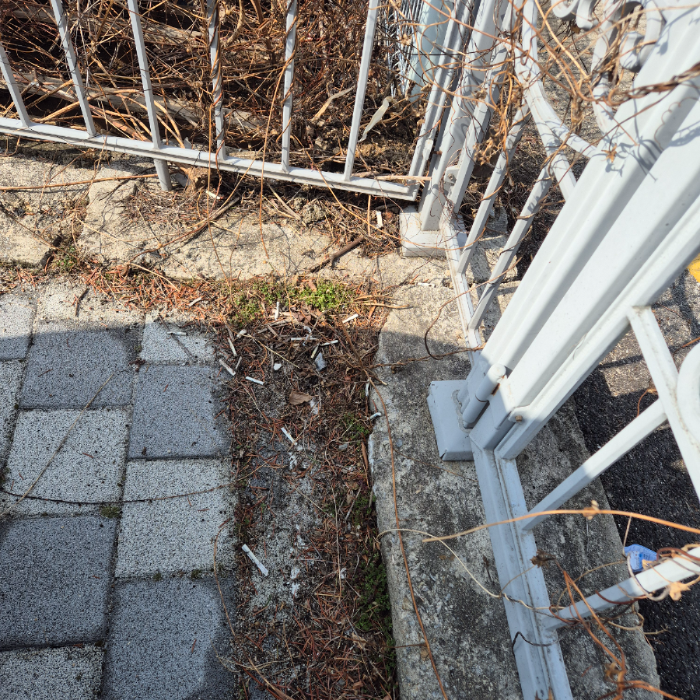  강릉시.동네.쓰레기.플로깅