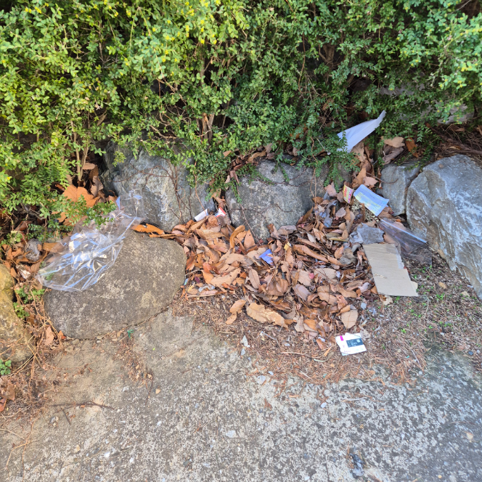  동해시.동네.쓰레기.플로깅