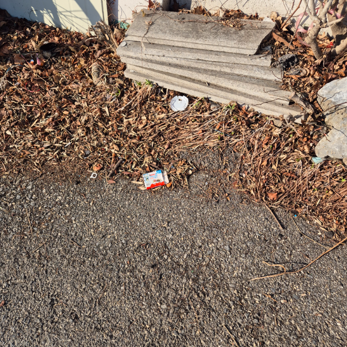  동해시.동네.쓰레기.플로깅