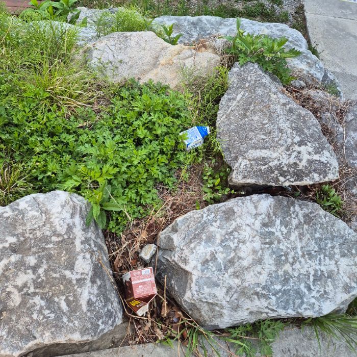  동해시.동네.쓰레기.플로깅